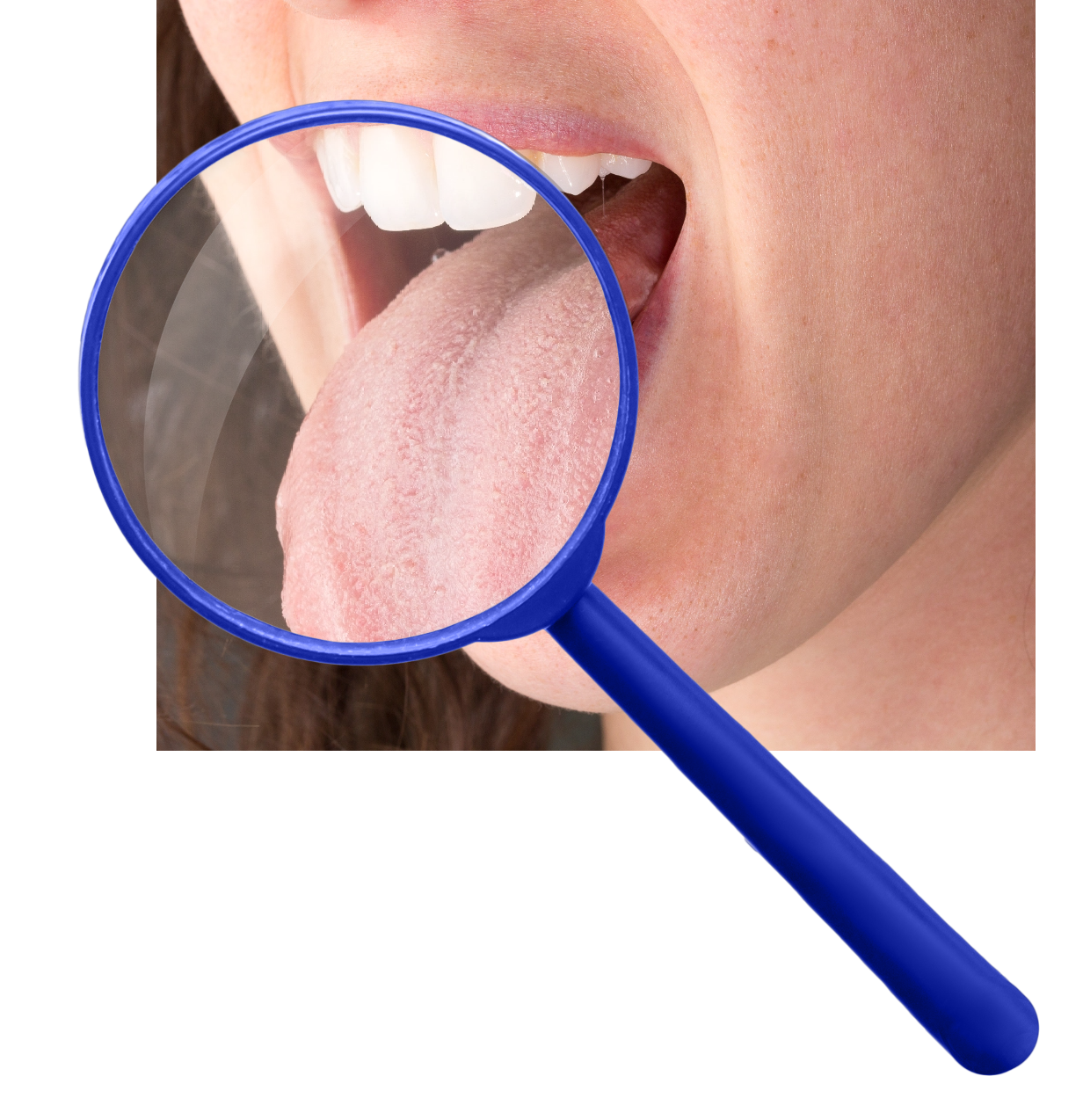 Banner-Ustni-mikrobiom@2x